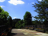 �P���R�[ pixmo DSC100